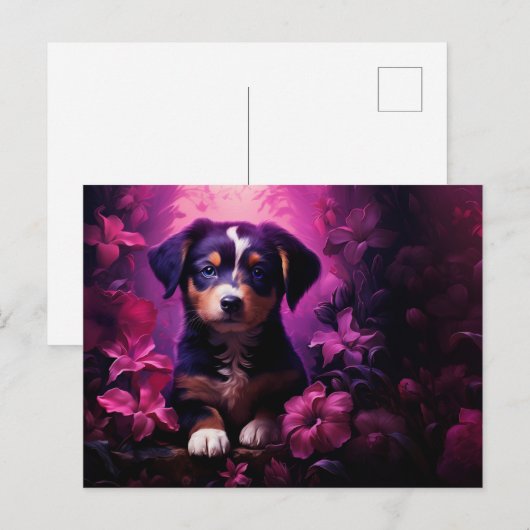 Carte postale Sweet and Loyal ポストカード (正面/裏面)