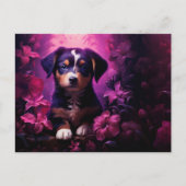 Carte postale Sweet and Loyal ポストカード (正面)