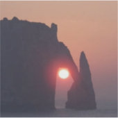 Carte simple シール (正面)