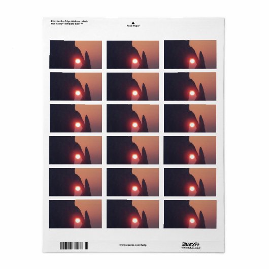 Carte simple ラベル (フルシート)