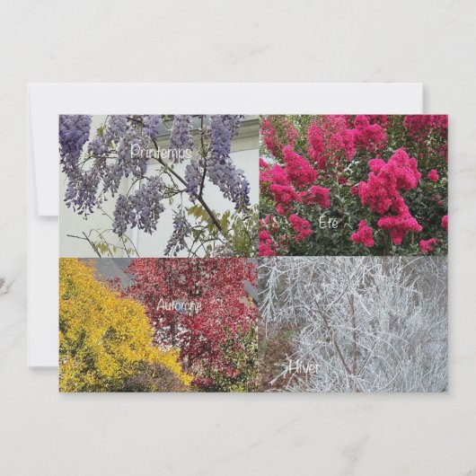 Carte simple Le nouvel an (正面)