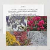 Carte simple Le nouvel an (正面/裏面)