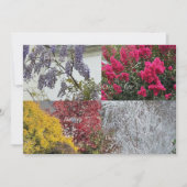 Carte simple Les Quatre Saisons (正面)