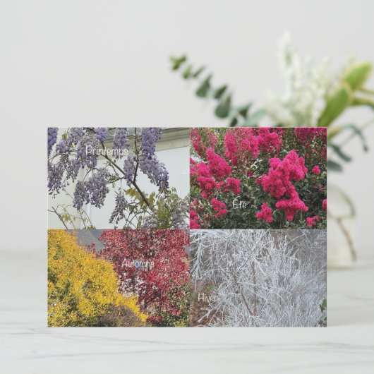 Carte simple Les Quatre Saisons (スタンド正面)