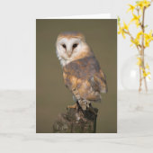 cARTerARTによるメンフクロウカード カード (黄色い花)