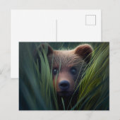 Cartes Postales bear herbe ポストカード (正面/裏面)