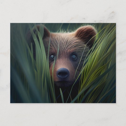 Cartes Postales bear herbe ポストカード (正面)