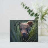Cartes Postales bear herbe ポストカード (スタンド正面)