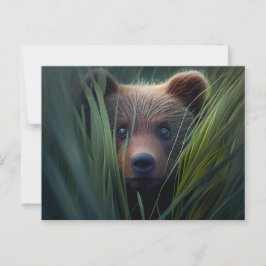 Cartes Postales bear herbe ポストカード