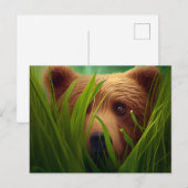 Cartes Postales bear herbe ポストカード (正面/裏面)