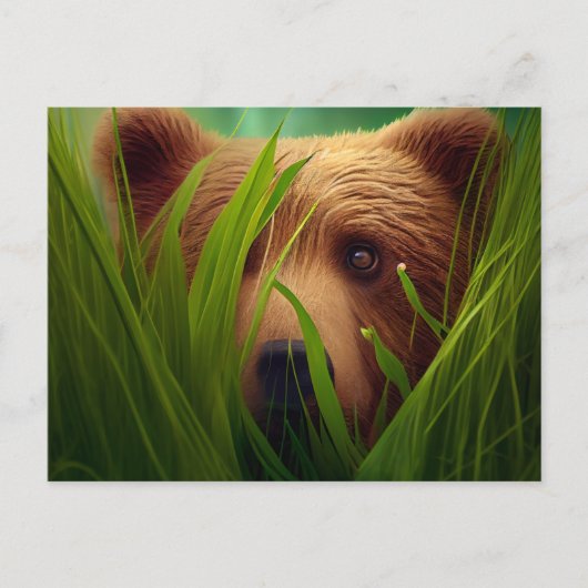 Cartes Postales bear herbe ポストカード (正面)