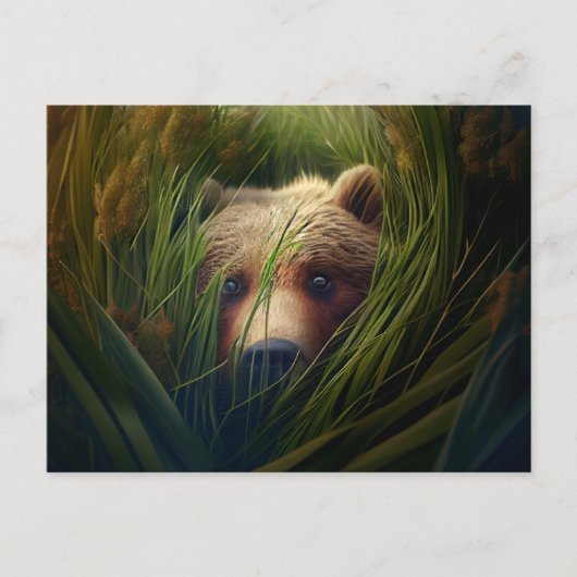 Cartes Postales bear herbe ポストカード (正面)