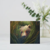 Cartes Postales bear herbe ポストカード (スタンド正面)