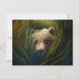Cartes Postales bear herbe ポストカード