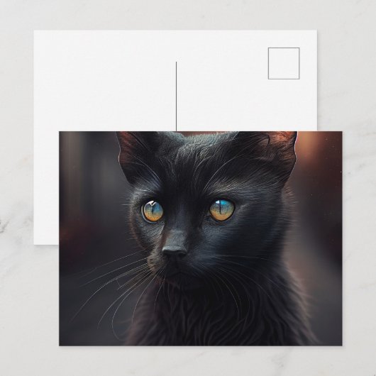 Cartes Postales Black Cat ポストカード (正面/裏面)