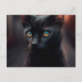 Cartes Postales Black Cat ポストカード (正面)
