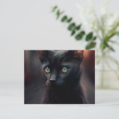 Cartes Postales Black Cat ポストカード (スタンド正面)
