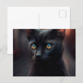 Cartes Postales Black Cat ポストカード