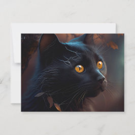Cartes Postales Black Cat ポストカード