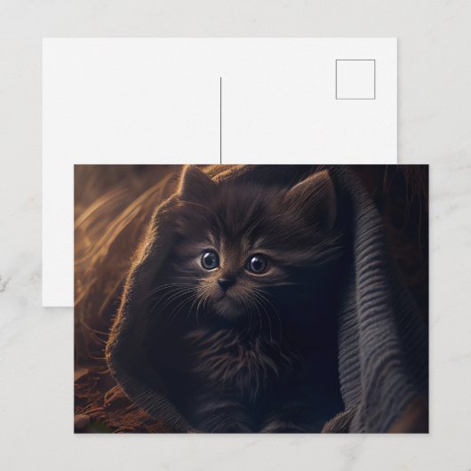 Cartes Postales Black Cat ポストカード (正面/裏面)