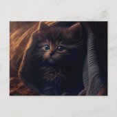 Cartes Postales Black Cat ポストカード (正面)