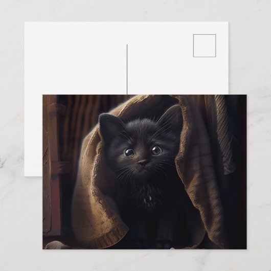 Cartes Postales Black Cat ポストカード (正面/裏面)