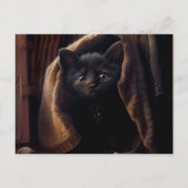 Cartes Postales Black Cat ポストカード (正面)