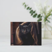 Cartes Postales Black Cat ポストカード (スタンド正面)