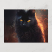 Cartes Postales Black Cat ポストカード (正面)