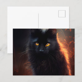 Cartes Postales Black Cat ポストカード