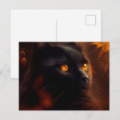 Cartes Postales Black Cat ポストカード (正面/裏面)