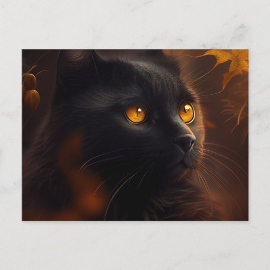 Cartes Postales Black Cat ポストカード (正面)