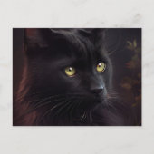 Cartes Postales Black Cat ポストカード (正面)