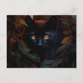 Cartes Postales Black Cat ポストカード (正面)