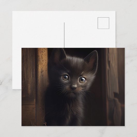 Cartes Postales Black Cat ポストカード (正面/裏面)