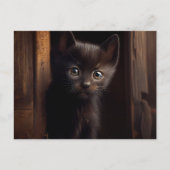 Cartes Postales Black Cat ポストカード (正面)