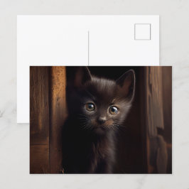 Cartes Postales Black Cat ポストカード