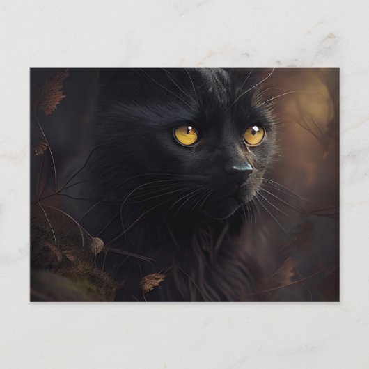 Cartes Postales Black Cat ポストカード (正面)