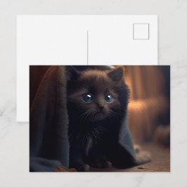 Cartes Postales Black Cat ポストカード