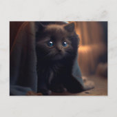 Cartes Postales Black Cat ポストカード (正面)