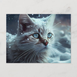 Cartes Postales Cat Divers ポストカード