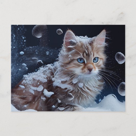 Cartes Postales Cat Divers ポストカード (正面)