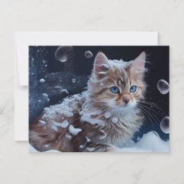 Cartes Postales Cat Divers ポストカード