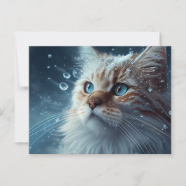 Cartes Postales Cat Divers ポストカード