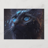 Cartes Postales Cat divers pluie ポストカード (正面)