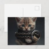 Cartes Postales Cat prisoner ポストカード (正面/裏面)