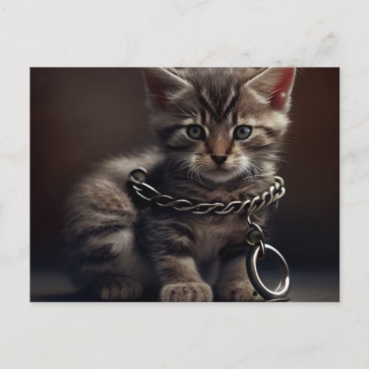 Cartes Postales Cat prisoner ポストカード (正面)