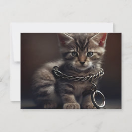 Cartes Postales Cat prisoner ポストカード
