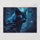 Cartes Postales Chat Bleu ポストカード (正面)