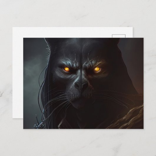 Cartes Postales Chat capuche ポストカード (正面/裏面)